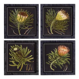 Protea Petite Prints - 4 Styles