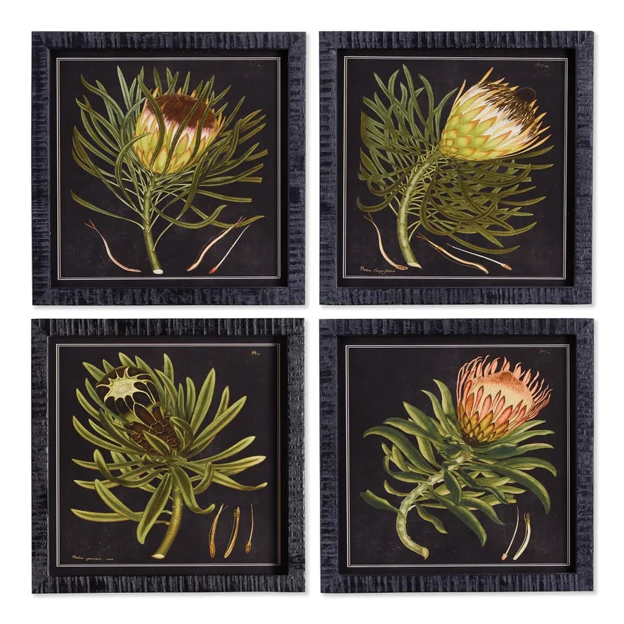 Protea Petite Prints - 4 Styles