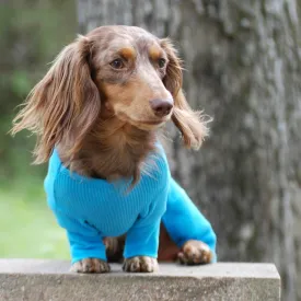 Sweet Dreams Boy Dog Pajamas